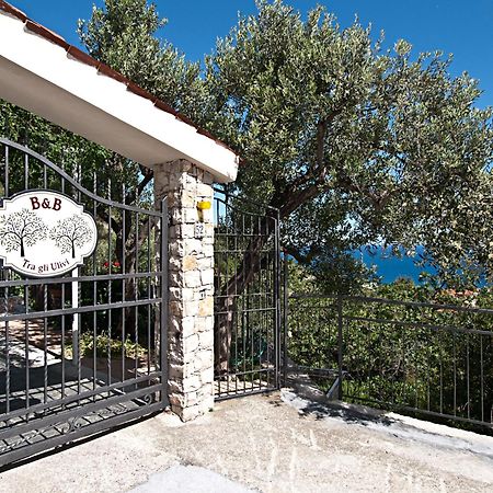 Tra Gli Ulivi Bed & Breakfast Pietra Ligure Bagian luar foto
