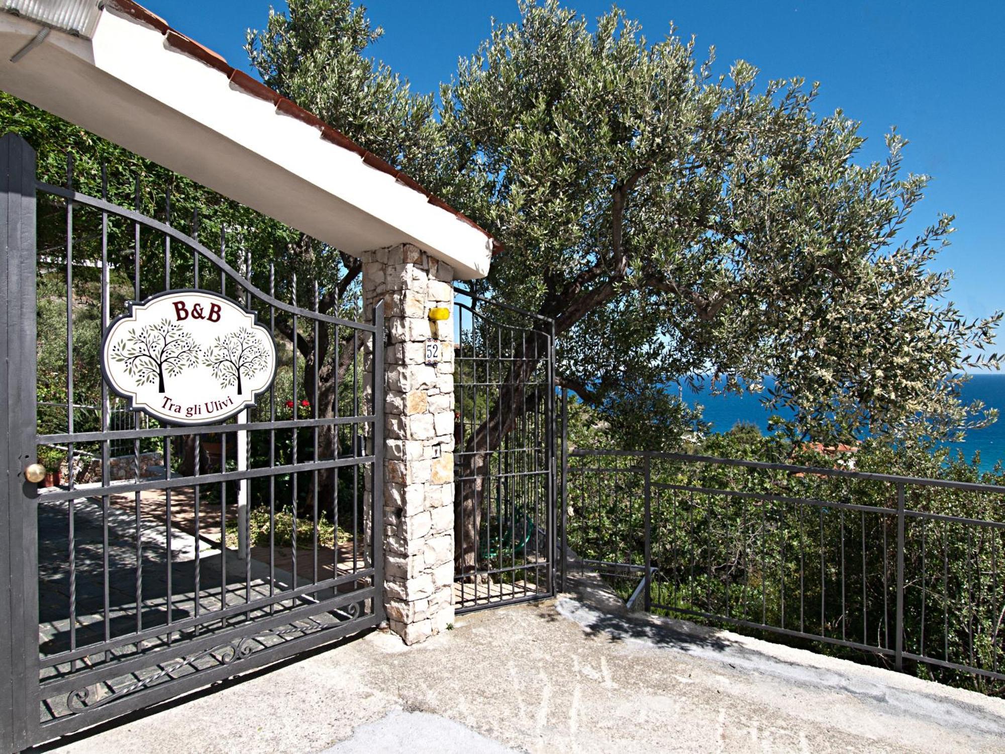 Tra Gli Ulivi Bed & Breakfast Pietra Ligure Bagian luar foto
