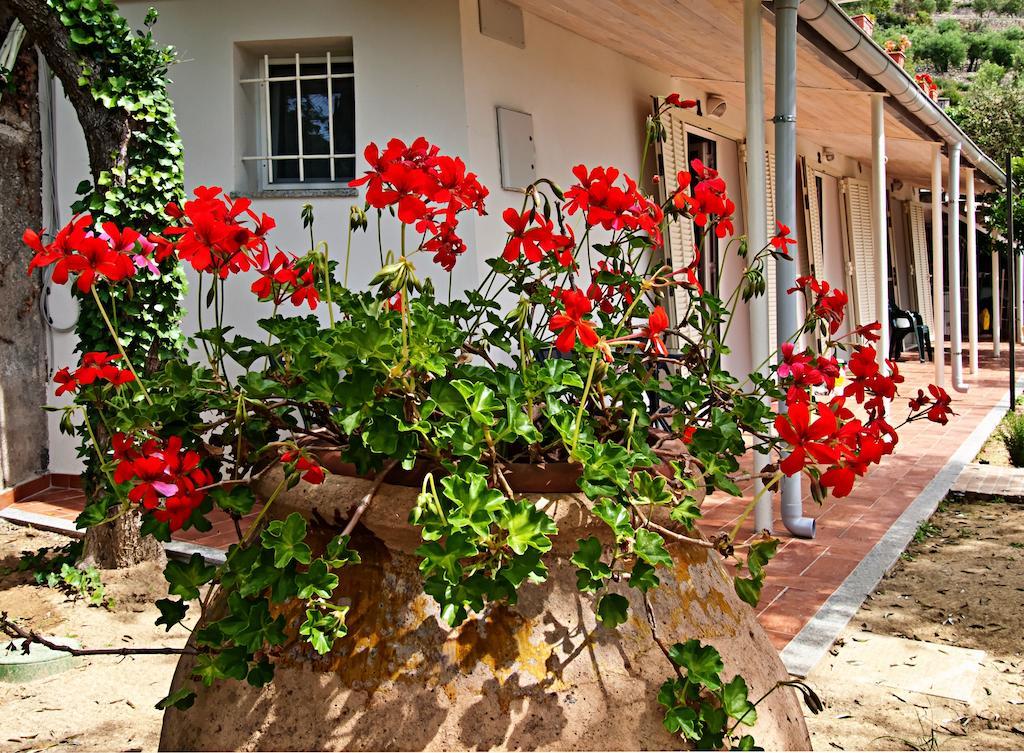 Tra Gli Ulivi Bed & Breakfast Pietra Ligure Bagian luar foto